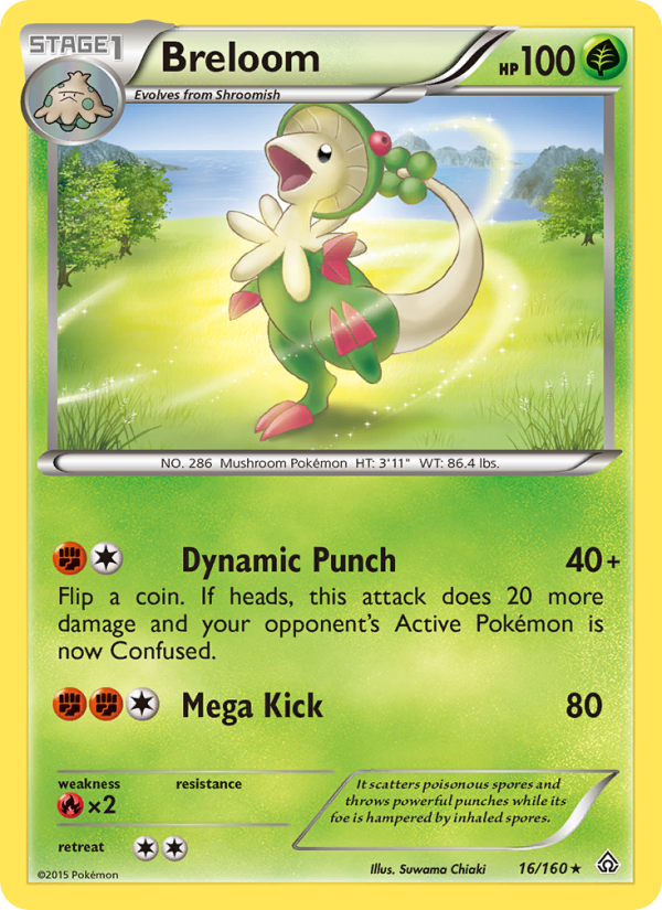 xy5-16
